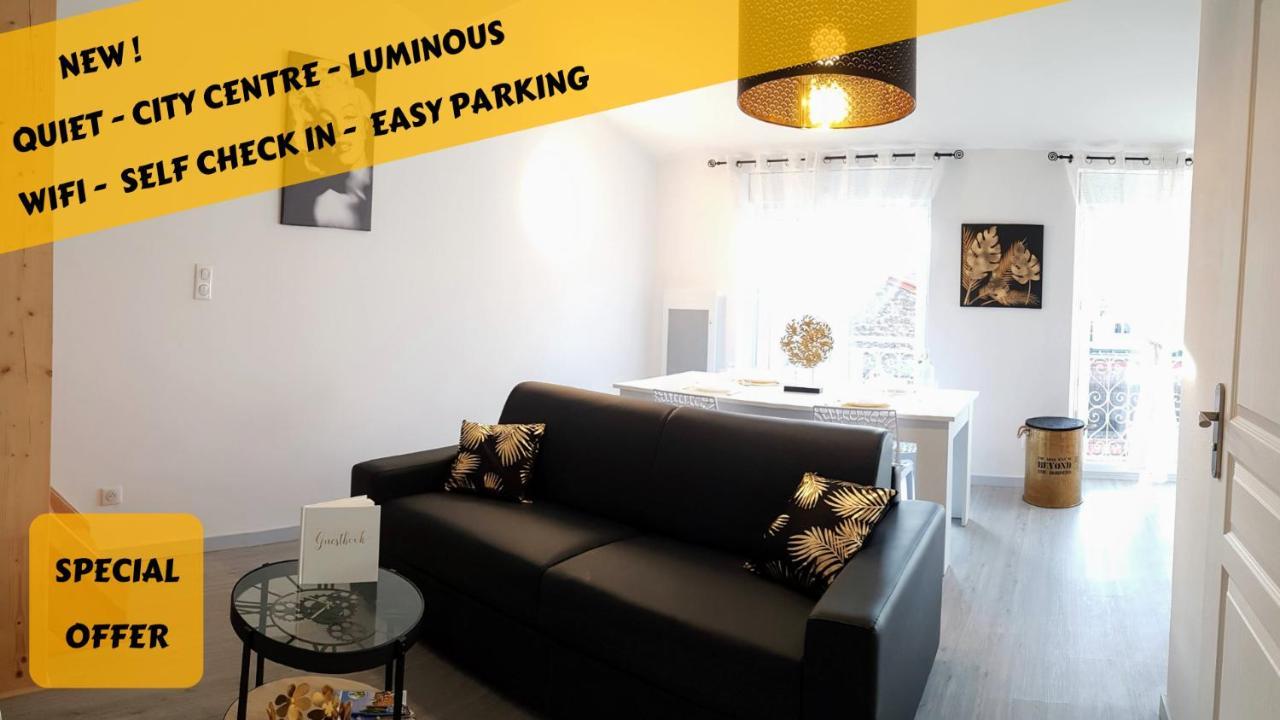 Les Nuits D'Anis - Appartements Hypercentre Le Puy-en-Velay Bagian luar foto