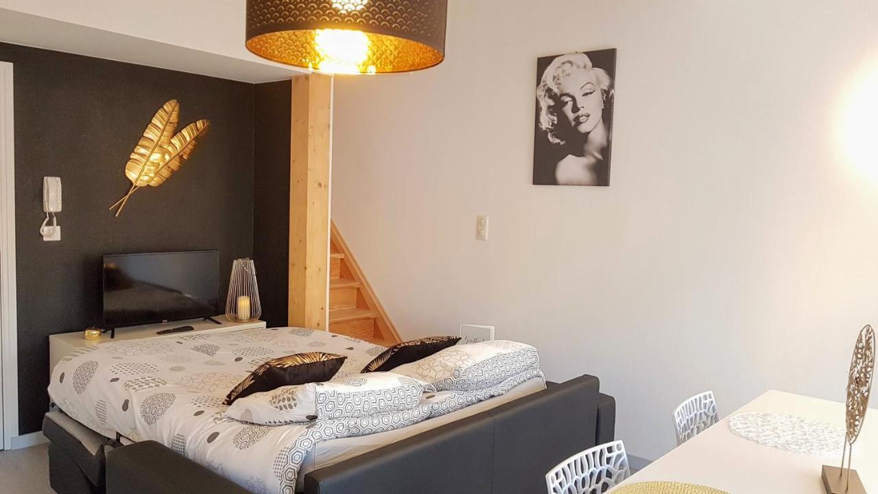 Les Nuits D'Anis - Appartements Hypercentre Le Puy-en-Velay Bagian luar foto