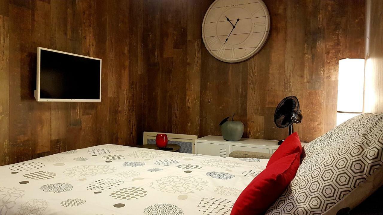 Les Nuits D'Anis - Appartements Hypercentre Le Puy-en-Velay Bagian luar foto