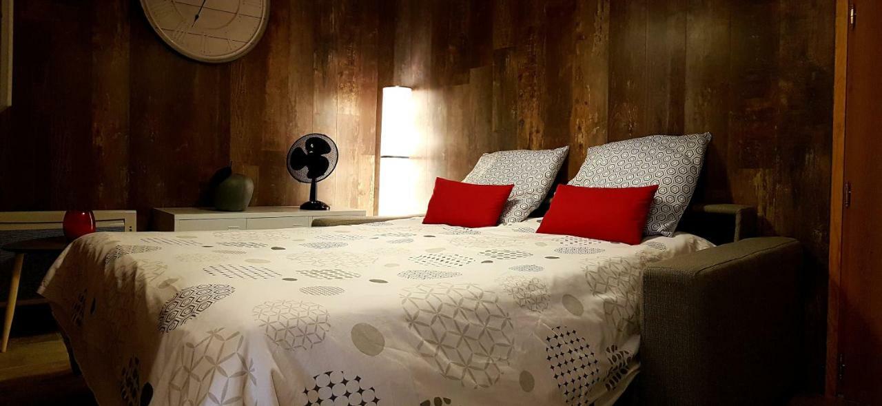 Les Nuits D'Anis - Appartements Hypercentre Le Puy-en-Velay Bagian luar foto